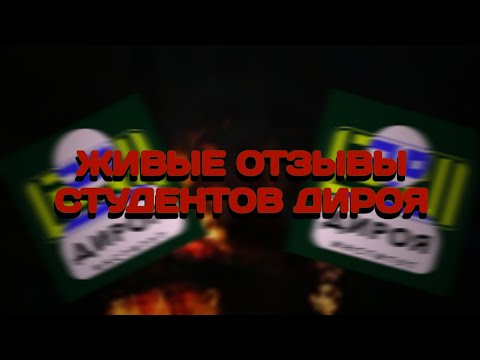 Видео: Живые отзывы студентов Дироя