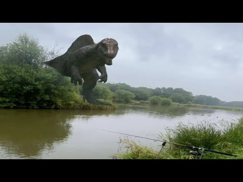 Видео: Абсурдные мемы, которые я нашёл на рыбалке в Калимантане