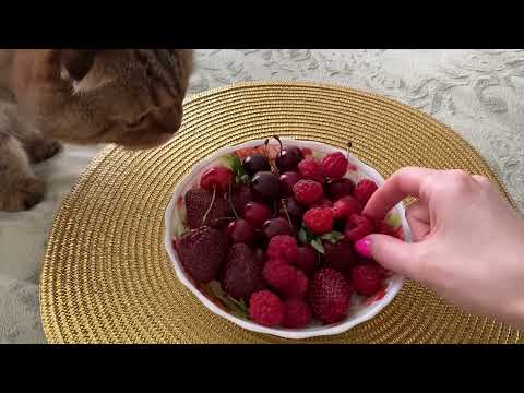 Видео: ASMR Eating - Berries/ Watermelon/ Corn/ Pumpkin/ АСМР Итинг Мукбанг - Ягоды/ Арбуз/ Кукуруза/ Тыква