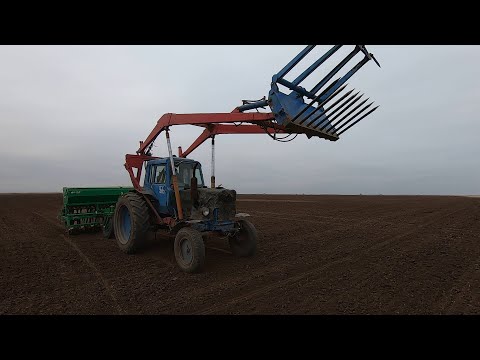 Видео: Посевная в Декабре! Заскочил на нашу овцеферму!