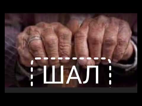 Видео: ШАЛ | Нұрлан Қами | Хикаят |