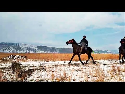 Видео: Ат чабыш, 25мин сом кетти ( Маска корсотом дейт эми  )