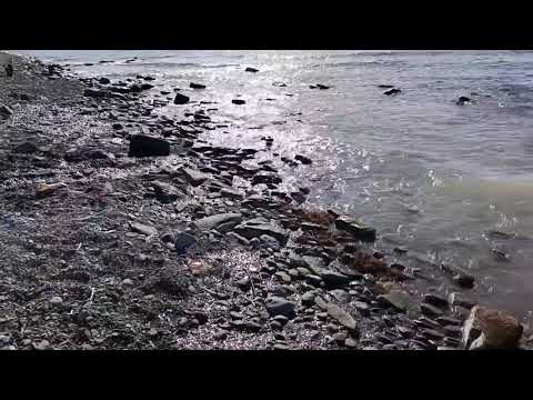 Видео: Пляж Шингари и Резиденция Анаполис 3 Ноября 2025 года