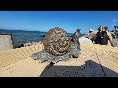 Видео: Калининградская область. Светлогорск, Янтарный. Море здесь незабываемо!