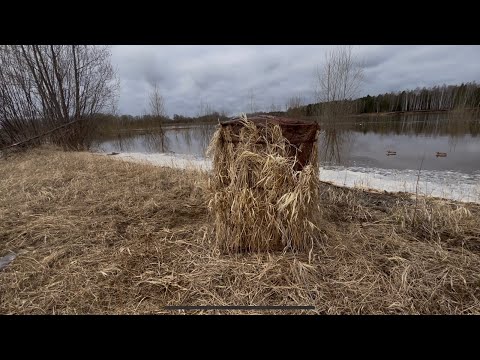 Видео: Скрадок для охоты на уток. ПФ Берег. Обзор на охоте.