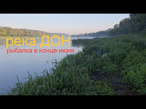 Видео: РЫБАЛКА НА ДОНУ В КОНЦЕ ИЮНЯ