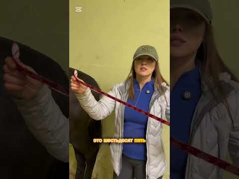Видео: 8 октября 2025 г.