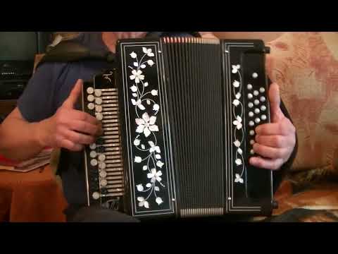Видео: Напои меня водой твоей любви...на гармони.