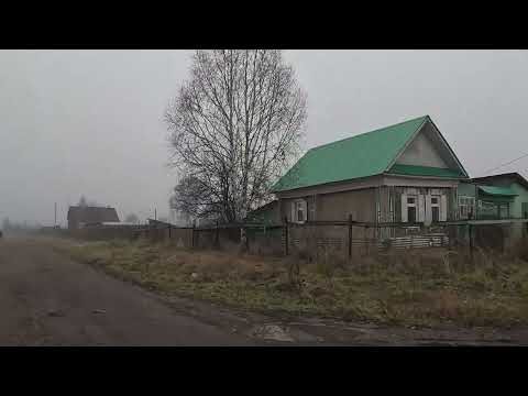 Видео: Тирлян в тумане. Южный Урал. 21.10.2025.