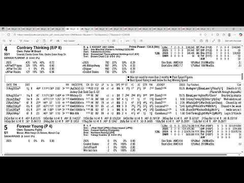 Видео: Полный анализ и прогнозы на Кубок заводчиков 2025 года | Sovereignty Out