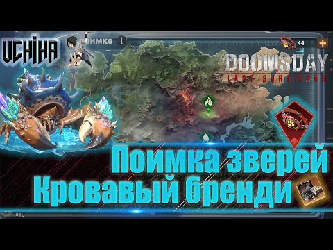 Видео: 💪| DOOMSDAY Last survivors | Кровавое бренди | Поимка зверей | UCHIHA_TV |