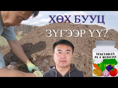 Видео: Хөх бууц зүгээр үү?  Is it safe to use raw manure?