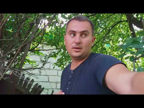 Видео: Ты его вырости и похорони!! соседская любовь!