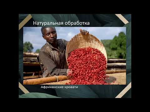 Видео: Обработка кофе: все виды, особенности