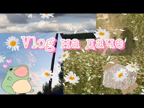 Видео: ЛЕТНИЙ ДАЧНЫЙ VLOG / собираю травы / Как проходит летний день на даче