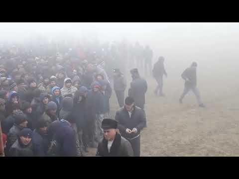 Видео: Бузкаши Ш.Истаравшан Чорбог Нишон полвон✊ #алихамзатв #алижон_солиев #ot _buzkashi_tjuz