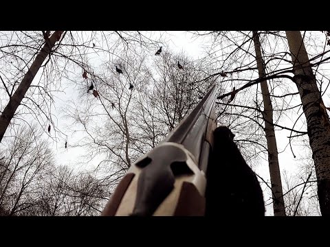 Видео: Осеняя охота на Тетерева с чучелами из засидки. Налёт с шумом,грохотом!!!