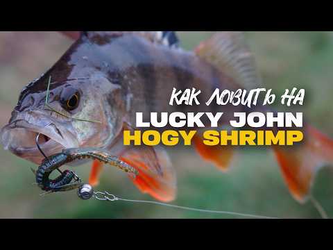 Видео: Уловистый Силикон на Окуня Lucky John Hogy Shrimp 2 2 Обзор Рекомендации к Применению