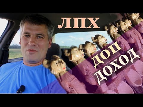 Видео: как заработать деньги в деревне