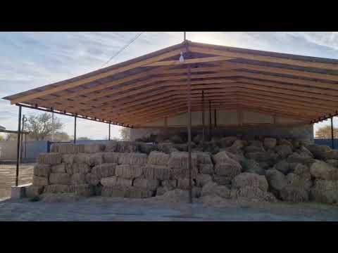 Видео: Жылқы қора 