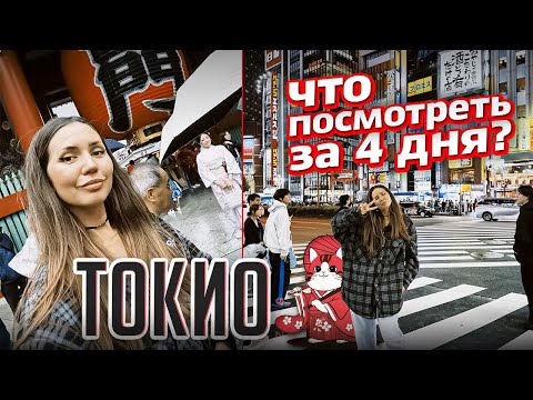 Видео: Путешествие по Японии. Токио. Что посмотреть за 4 дня? Цены, еда,  локации. Часть 1