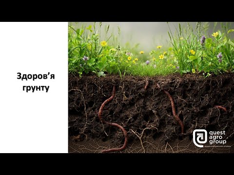 Видео: Здоров'я ґрунту