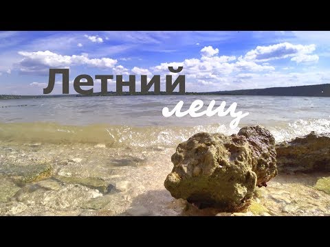 Видео: Лещики на флэт фидер.