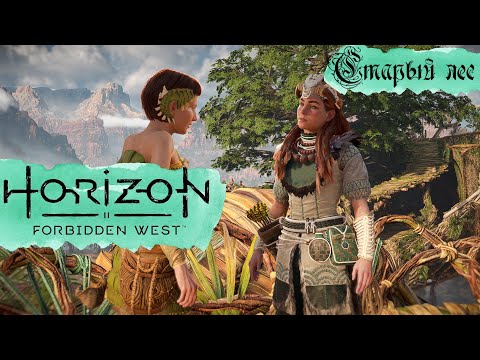 Видео: Старый лес ❥ Horizon Forbidden West #18