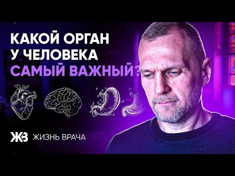Видео: КАКОЙ ОРГАН У ЧЕЛОВЕКА САМЫЙ ВАЖНЫЙ? (не мозг)