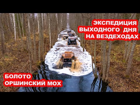 Видео: Экспедиция выходного дня. Едем на пяти вездеходах "Шерп" и "Архант" в болото Оршинский мох