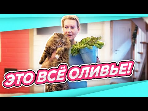 Видео: ВЛОГ | СОЖГУ ОЛИВЬЕ | РОЗЫ ЗАЦВЕЛИ | САЛАТ ЧИСТОЕ ЗДОРОВЬЕ без соли и сахара