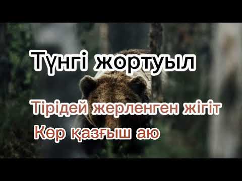 Видео: Түнгі жортуыл. Авторы: Асылбек Байтанұлы#әңгіме