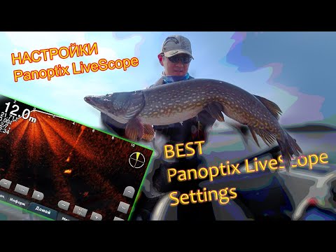 Видео: Best Panoptix LiveScope settings. Лучшие настройки #panoptixlivescope. Рыбалка в Финляндии.
