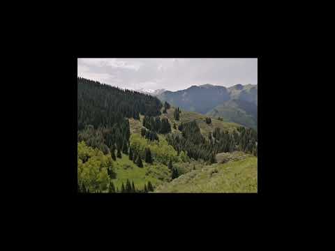 Видео: Сынақта әр кез бұл адам. 