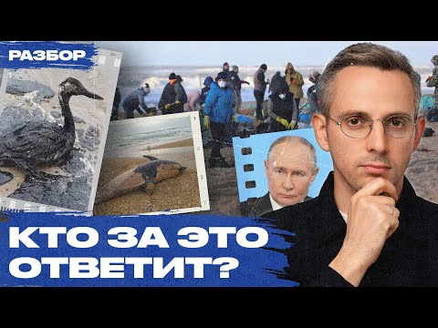 Видео: Экологическая катастрофа в Анапе: всё хуже, чем кажется. Политический контекст и рассказы волонтеров