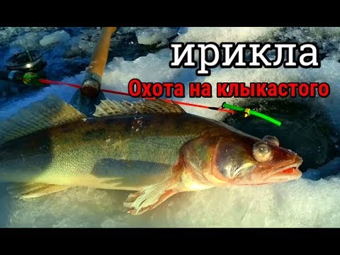 Видео: Рыбалка на Ирикле. Зимний СУДАК и байка НИКОЛАЙКИ