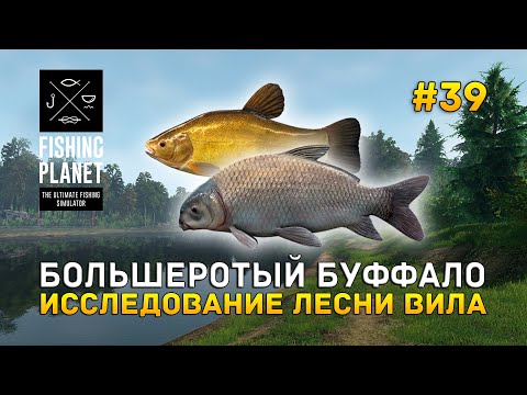 Видео: Большеротый Буффало. Исследование Лесни Вила - Fishing Planet #39