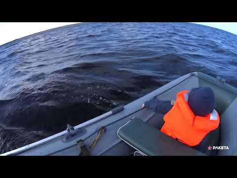 Видео: Ракета РЛ-350 / Назия - Ладога