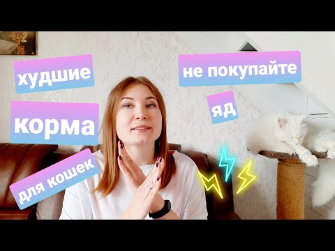 Видео: Жизнь с мейн-кунами / худшие корма для кошек / огородные работы