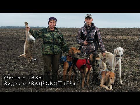 Видео: Охота с ТАЗЫ. Видео с КВАДРОКОПТЕРа. Питомник Сэхра Эль. Осень 2021