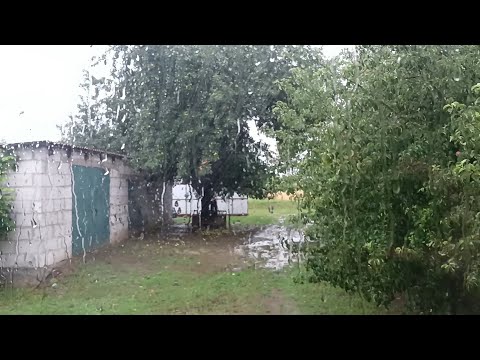 Видео: Беларусь Нас ещё не смыло и не сдуло, держимся :) Что выросло в огороде