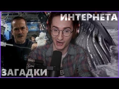 Видео: Дневная доза интернета с Олёшей 5