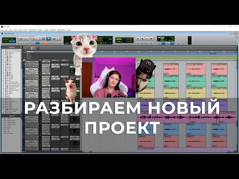 Видео: РАЗБОР НОВОГО ПРОЕКТА. ТРЕК "НАВСЕГДА"
