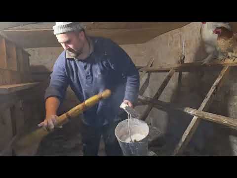 Видео: Подготовил курятник к зиме! Сколько осталось кур?