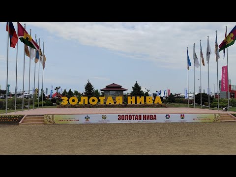 Видео: Золотая нива 2023!