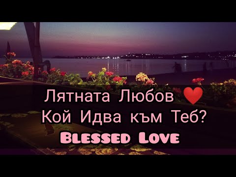 Видео: Лятна Любов ❤️, Кой Идва към Мен 🧜‍♀️🧜‍♂️?