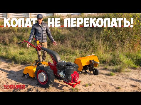 Видео: Мотоблоки МТЗ  - что нового?