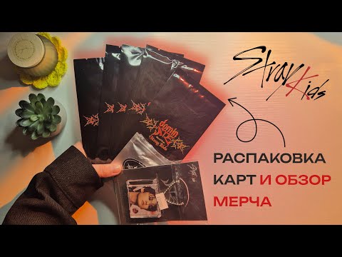 Видео: Карточки тура dominATE + разный мерч SKZ 🖤 Распаковка-обзор