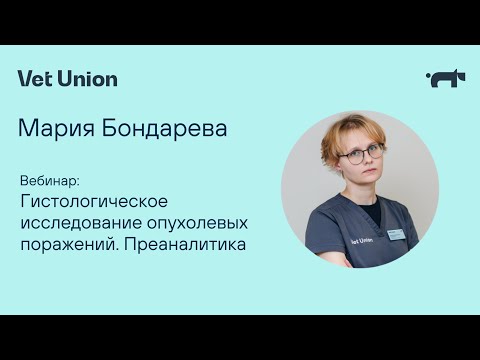 Видео: Гистологическое исследование опухолевых поражений. Преаналитика