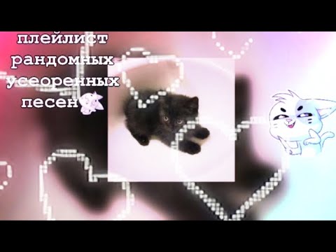Видео: ♡ПЛЕЙЛИСТ РАНДОМНЫХ УСКОРЕННЫХ ПЕСЕН⛥